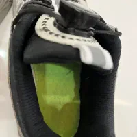 کتانی|کیف، کفش، کمربند|رشت, نامجو|دیوار