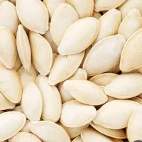 لوبیا چیتی .کدو تخمه .تخمه آفتابگردان درجه یک|خوردنی و آشامیدنی|تهران, اباذر|دیوار