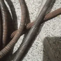 سی دی دی وی دی|پخش‌کننده DVD و ویدیو|مشهد, همت آباد|دیوار