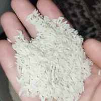 برنج هاشمی اعلا لشت نشا|خوردنی و آشامیدنی|رشت, جانبازان|دیوار