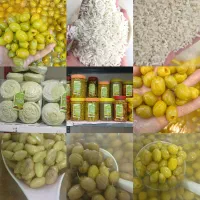 زیتون پرورده|خوردنی و آشامیدنی|رشت, یخسازی|دیوار