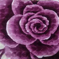 پتو ضخیم کرکی|رختخواب، بالش، پتو|بابل, |دیوار