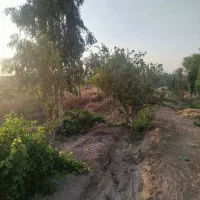 باغچه|فروش خانه و ویلا|قم, دوبرادر|دیوار