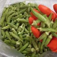 بذر بامیه شرط درجه یک از باغم|گل و گیاه طبیعی|شادگان, |دیوار