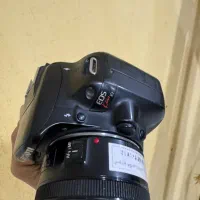 canon 250d 4K|دوربین عکاسی و فیلم‌برداری|بندرعباس, |دیوار