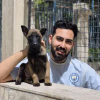 فروش مالینویز بلژین خط‌خونی بالا