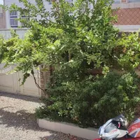 منزل مسکونی باهنر|فروش خانه و ویلا|اردکان, |دیوار