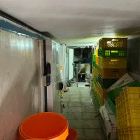 لبنیاتی فعال