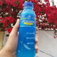 نوشیدنی ورزشی داینامین (عمده)