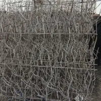 حفاظ روی دیوارشاخ گوزنی وآبشاری ویک سرخم