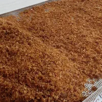 پیاز داغ ترد و تازه.از تولید به مصرف.