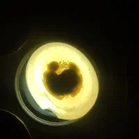 سنگ سلیمانی.سلطانی و عقیق|جواهرات|بندر ماهشهر, |دیوار