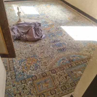 فروش چند قلم موکت و گلیم فرش تمیز باهم|موکت|شوش, |دیوار