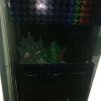 آکواریوم|ماهی|ری, جوانمرد قصاب|دیوار