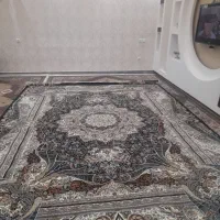 جاروبرقی و فرش ۷۰۰ شانه نو ۱۲ متری خیلی ضخیم|فرش|پارسآباد, |دیوار