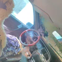 فروش فوری زانتیا ۲۰۰۰ccمدل ۸۵سفید