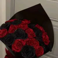 گل جاودان|گل و گیاه طبیعی|ساوه, |دیوار