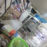 عروس هلندی|پرنده|آستارا, |دیوار