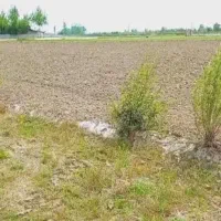 زمین کشاورزی