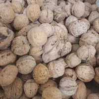 ۲تن گردو