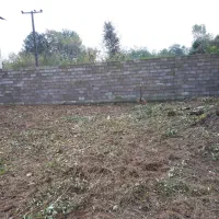 علفتراشی با دستگاه علفتراش|خدمات باغبانی و درختکاری|کلاچای, |دیوار