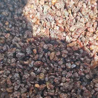 خانهکشمش وعسل شهرکرد|عمدهفروشی|شهرکرد, |دیوار