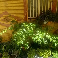 آپارتمان ۶۸ متر با حیاط خلوت رهن واجاره