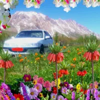 فروش خودروی پارس دوگانه دستی