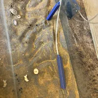 آکواریوم بزرگ|ماهی|چابهار, |دیوار