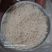 برنج هاشمی خالص پارساله بشرط کاملاسالم( سورتینگ )