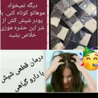 پودر شپش در فلاورجان