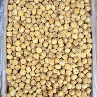 انجیر 2AS سفید سوپر استهبان