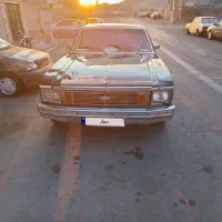 فروشی گلاسیک