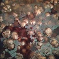 سیر ترشی هفت ساله واقعی