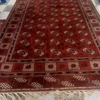 قالی ابعاد۳در۴ ویک جفت پشتی هردوتا ترکمن اصیل|فرش|گنبد کاووس, |دیوار