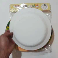 بشقاب خارجی پشت سفید سایز بزرگ تولد بسته ۱۲ عددی|ظروف سرو و پذیرایی|تهران, بازار|دیوار