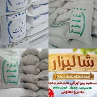 برنج طارم فجر ممتاز، نیم دانه طارم هاشمی