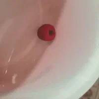 سنگ مهر اصل