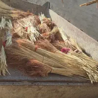 جاروشهری|لوازم نظافت|بروجرد, |دیوار