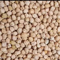 فروش نخود درجه یک