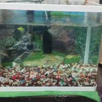 آکواریوم کامل