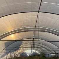 فروش گل خانه|فروش دفتر صنعتی، کشاورزی، تجاری|کازرون, |دیوار