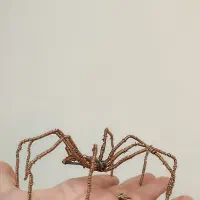 مجسمه سیمی عنکبوت|مجسمه، تندیس، ماکت|محمدشهر, ولدآباد|دیوار