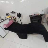 تخت