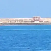 استخدام نیروی کار در اسکله شهید رجایی