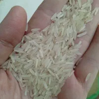 برنج محسن