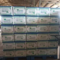 چسب بسته بندی کیان (خرید مستقیم از کارخانه)|عمده‌فروشی|مشهد, شهرک صنعتی مشهد|دیوار
