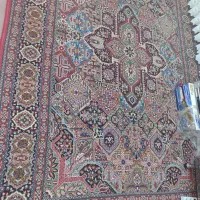 فرش|فرش|سلماس, |دیوار