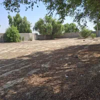 زمین-ویلایی