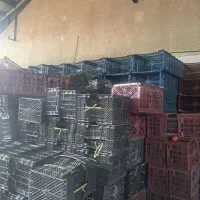 سبد دو رج وسبد۱۴سباه ورنگی|ظروف نگهدارنده، پلاستیکی، یک‌بارمصرف|فیروزکوه, |دیوار